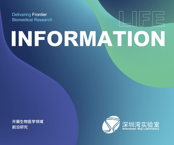 上海創(chuàng)意Logo設(shè)計終極指南：從零打造令人印象深刻的品牌標(biāo)識