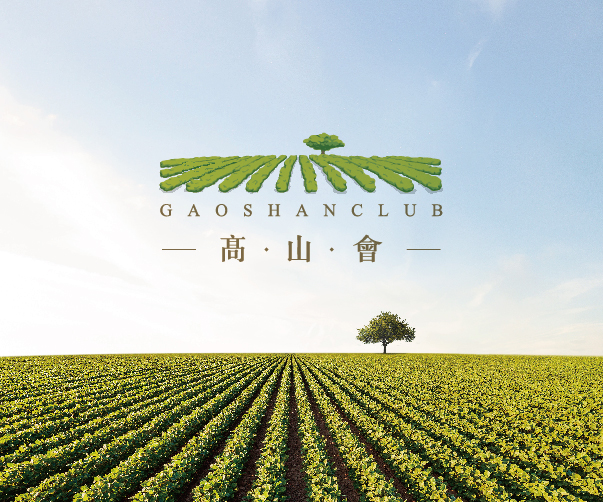 茶類包裝設(shè)計中的可視層次和視覺重點