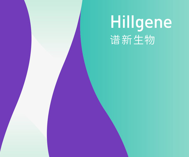 VI形象設(shè)計中的視覺平衡和視覺沖擊